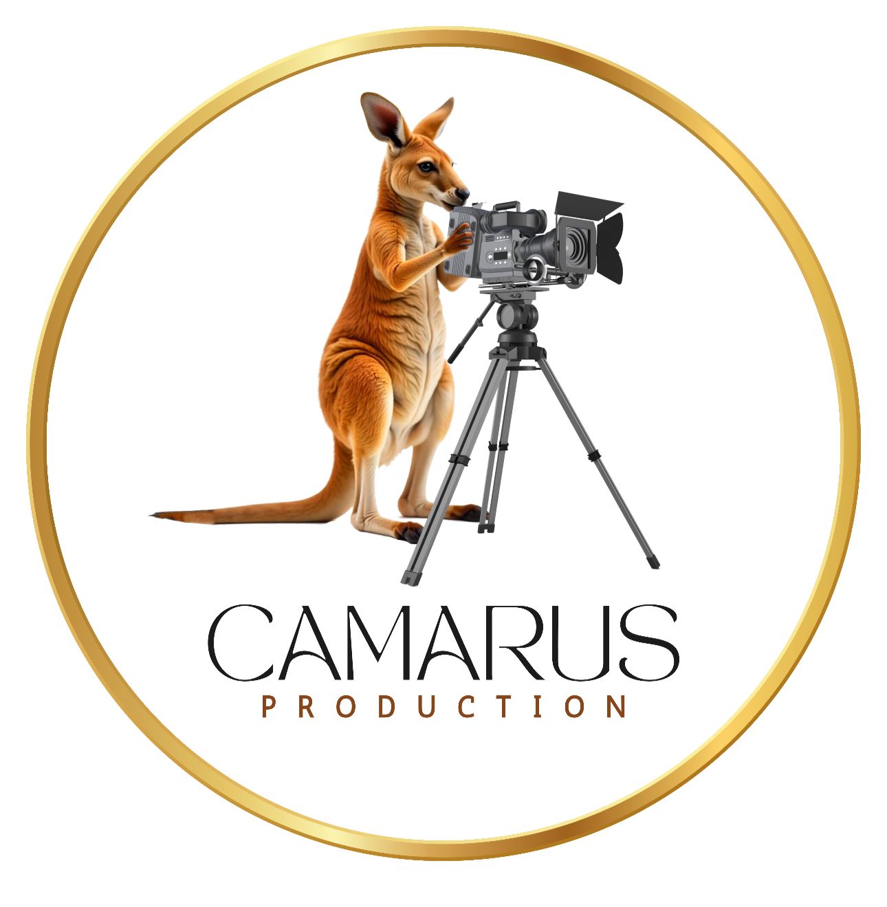 Camarus Production logo
